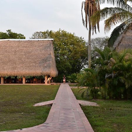 Savanna Orinoquia Lodge Orocué Eksteriør billede