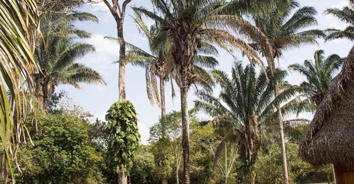 Savanna Orinoquia Lodge Orocué Eksteriør billede
